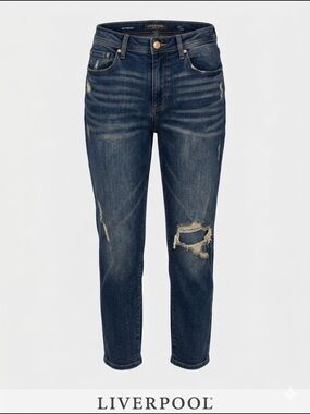 Liverpool Los Angeles "The Boyfriend" Distressed Jeans Blue Size 14 | 27" Inseam